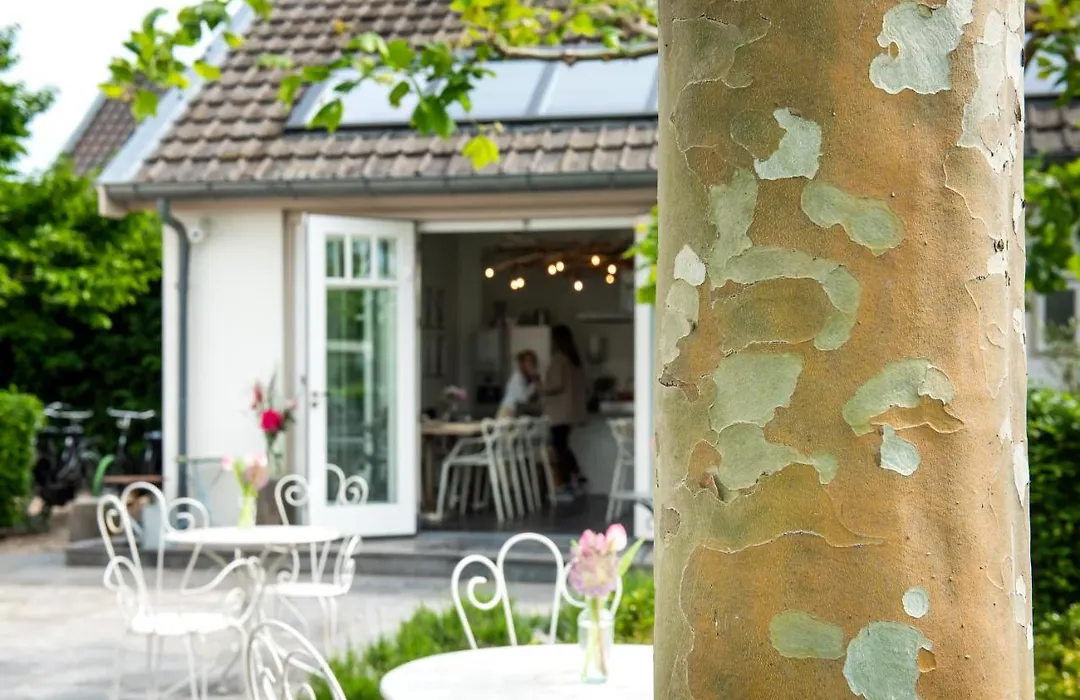 Boutique Hotel Villa Oldenhoff-1